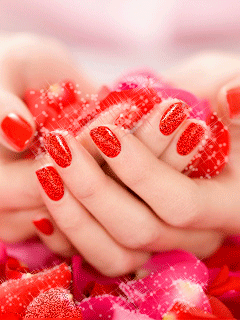 Акция от фирмы KORNAIL