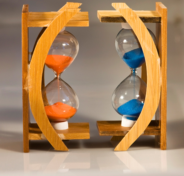 Встреча с представителями Посольства Франции